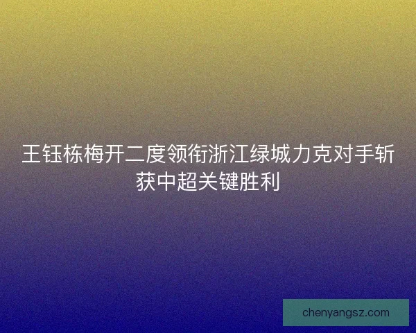 王钰栋梅开二度领衔浙江绿城力克对手斩获中超关键胜利